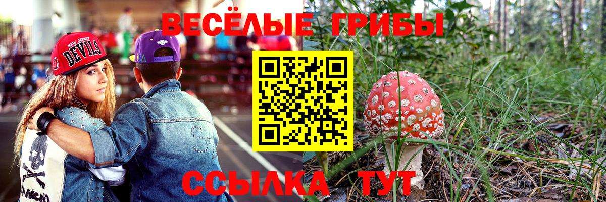 закладки  Вход с VPN  Красноармейск  Галлюциногенные грибы Psilocybine cubensis 