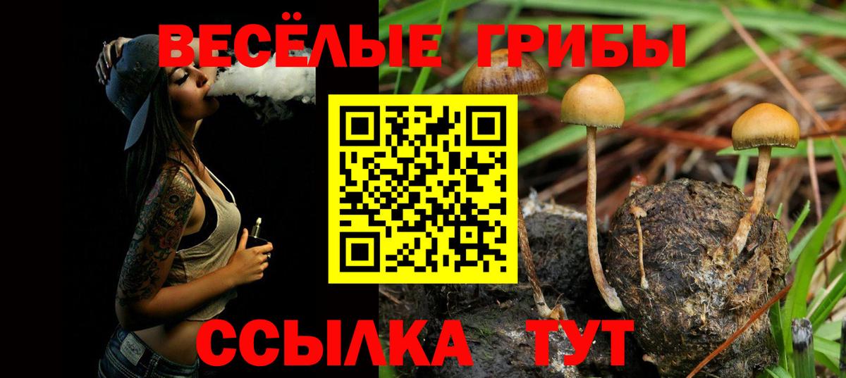 Псилоцибиновые грибы прущие грибы Красноармейск